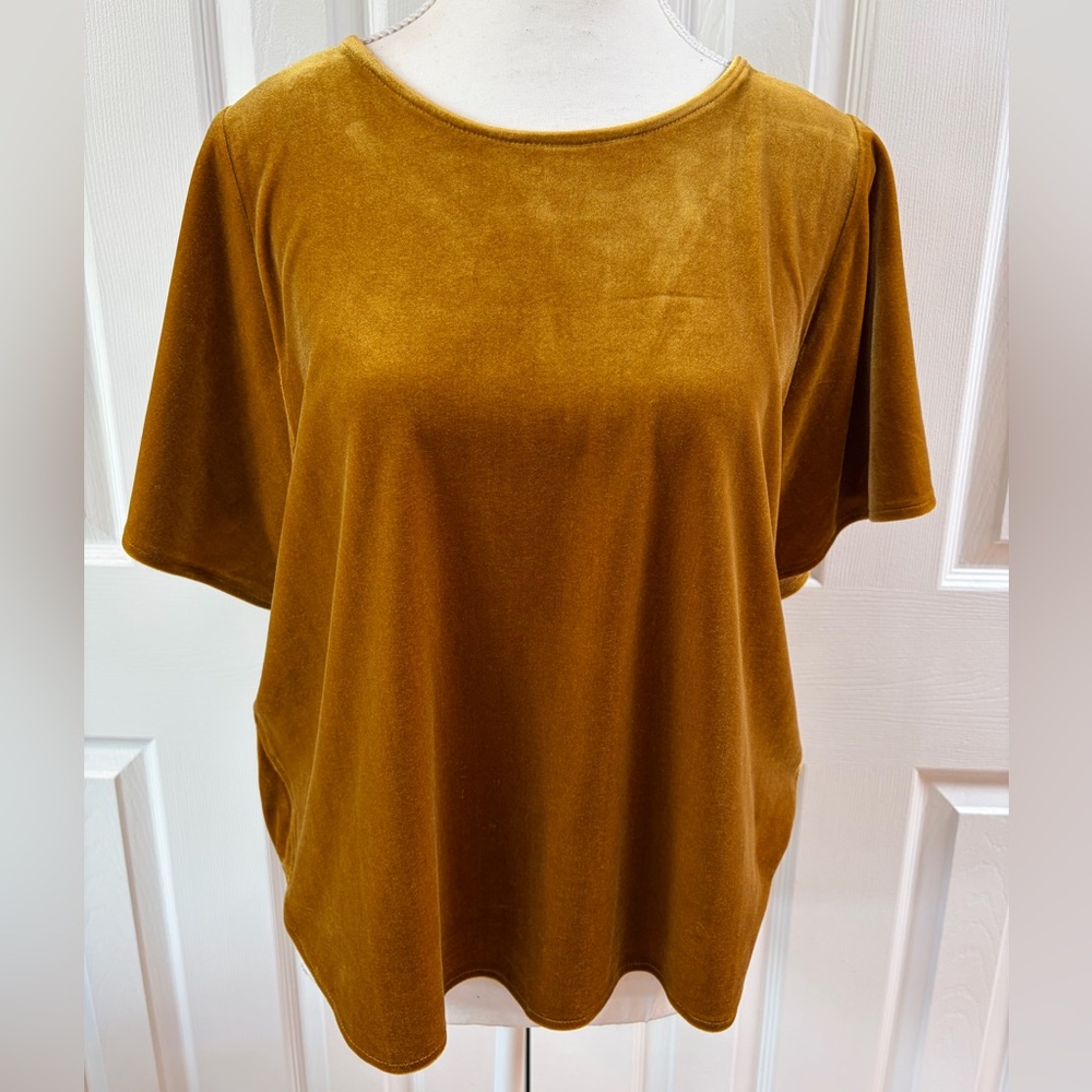Madewell Gold Velour/Vellvet Boxy Short Sleeve Top Size M